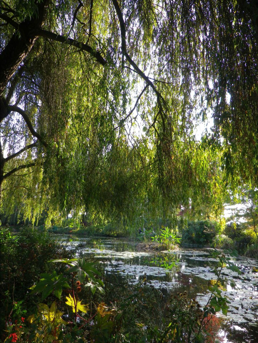 Maison et Jardine de Monet60